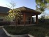 150 Amber Grove Dr photo